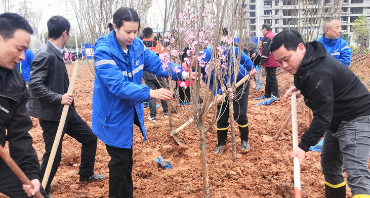 携手义务植树 共护绿水青山